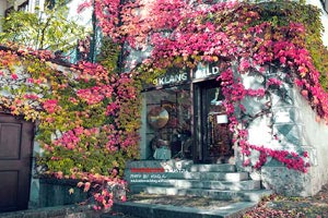 为国征战！波格丹社媒晒出自己身穿塞尔维亚球衣的定妆照，塞尔维亚博格丹诺维奇