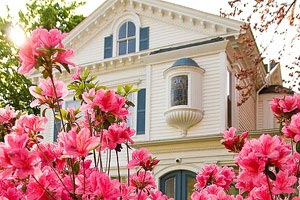 为国征战！波格丹社媒晒出自己身穿塞尔维亚球衣的定妆照，塞尔维亚博格丹诺维奇