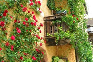 为国征战！波格丹社媒晒出自己身穿塞尔维亚球衣的定妆照，塞尔维亚博格丹诺维奇