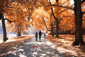 为国征战！波格丹社媒晒出自己身穿塞尔维亚球衣的定妆照，塞尔维亚博格丹诺维奇