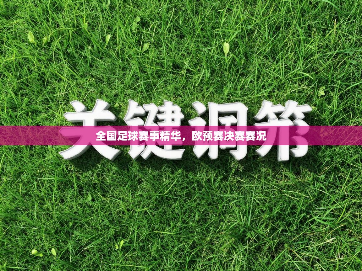 全国足球赛事精华，欧预赛决赛赛况  第2张