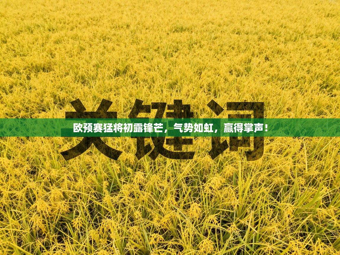 欧预赛猛将初露锋芒，气势如虹，赢得掌声！  第2张